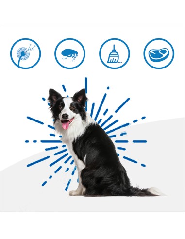 Hill's Canine Derm Complete Mini  Skin care & Food Sensivities Kg.1. Diete - Cibo Secco Per Cani