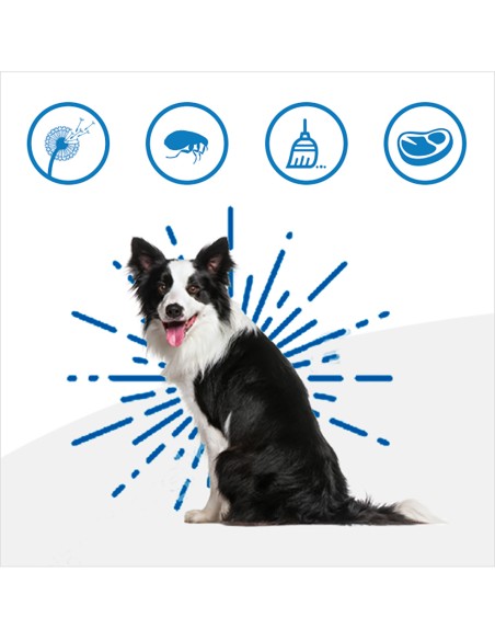 Hill's Canine Derm Complete Mini  Skin care & Food Sensivities Kg.1. Diete - Cibo Secco Per Cani