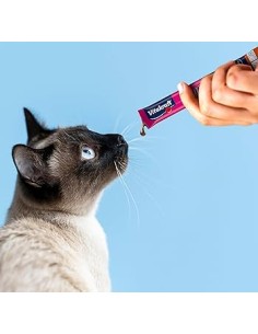 Vitakraft Cat Liquid Snack Fegato+ Salmone 16pz x15 gr. Snack Per Gatti . 2