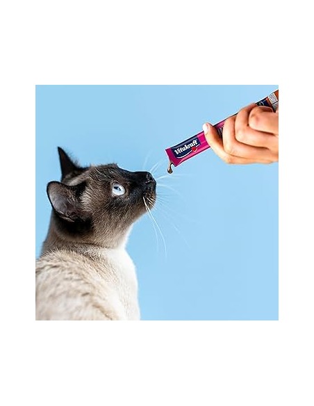 Vitakraft Cat Liquid Snack Fegato+ Salmone 16pz x15 gr. Snack Per Gatti .