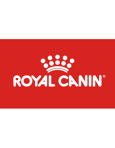 Mini Adult gr 195 Royal Canin. Cibo Umido Per cani