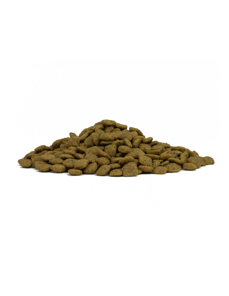 Forza 10 Intestinal Colon Fase 1 Kg 4. Diete Secco Cani .