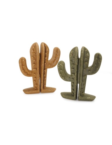 Snack Dental Vegetal Cactus gr 90- Snack Per Roditori .
