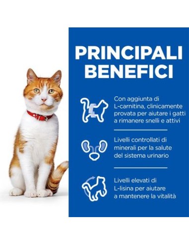 Hill's Sterilised Cat Salmone Gr.300. Cibo Secco Per Gatti