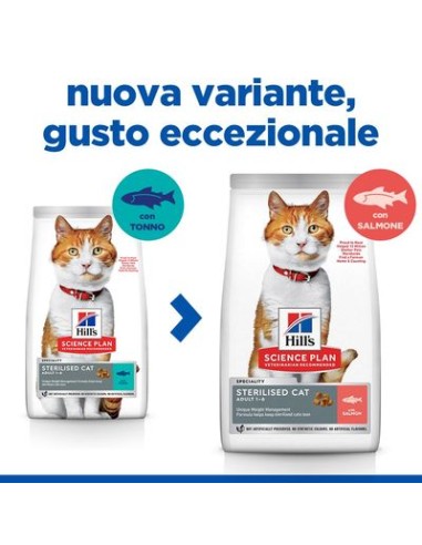Hill's Sterilised Cat Salmone Gr.300. Cibo Secco Per Gatti