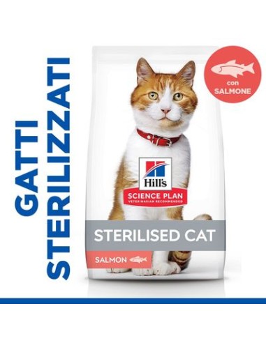 Hill's Sterilised Cat Salmone Gr.300. Cibo Secco Per Gatti