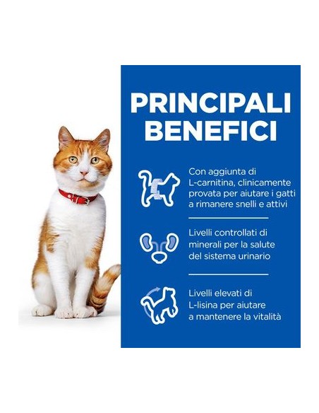 Hill's Sterilised Cat Salmone kg 1,5. Cibo Secco Per Gatti
