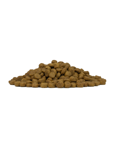 FORZA 10 Mini Diet Cervo con Patate Low Grain Kg.1,5- diete-cibo secco per cani -