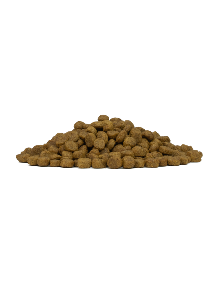 FORZA 10 Mini Diet Cervo con Patate Low Grain Kg.1,5- diete-cibo secco per cani -