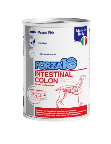 Forza 10 Intestinal Colon Cane gr 390. Diete - Cibo Umido per cani.