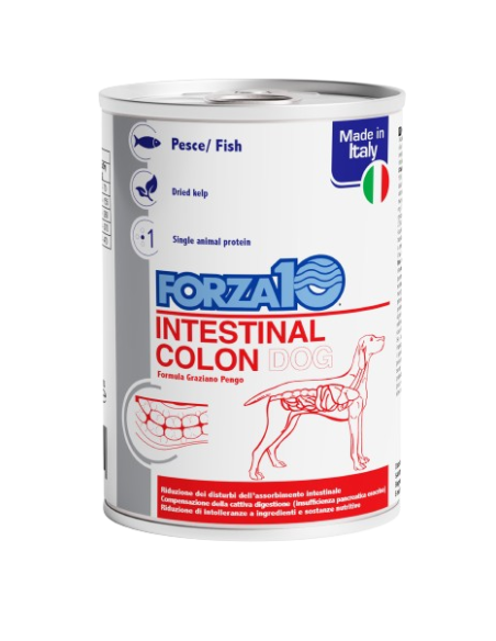 Forza 10 Intestinal Colon Cane gr 390. Diete - Cibo Umido per cani.