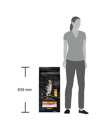 Pro Plan Medium Large 7+ age Defense kg 14 . Cibo Secco Per Cani .