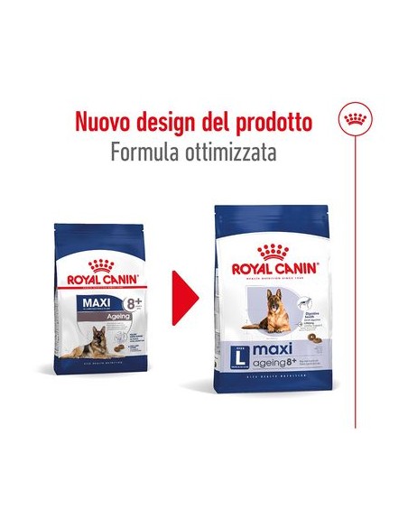 Royal Canin Maxi Agein 8+ Kg 3 . Cibo Secco Per Cani Anziani