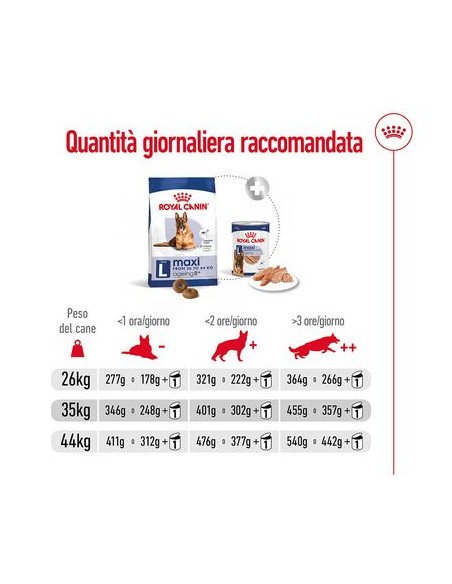 Royal Canin Maxi Agein 8+ Kg 3 . Cibo Secco Per Cani Anziani