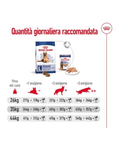 Maxi Agein +8 kg 15. Cibo Secco Per Cani
