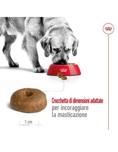 Maxi Agein +8 kg 15. Cibo Secco Per Cani
