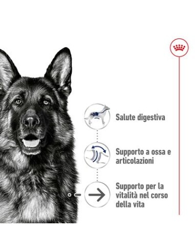 Maxi Agein +8 kg 15. Cibo Secco Per Cani