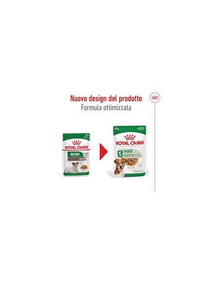 Royal Canin Dog mini Agein 12 + gr 85. Cibo Umido Per Cani  .