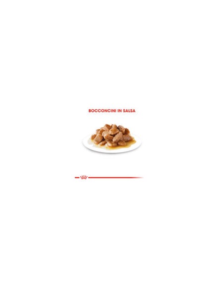 Royal Canin Dog mini Agein 12 + gr 85. Cibo Umido Per Cani  .
