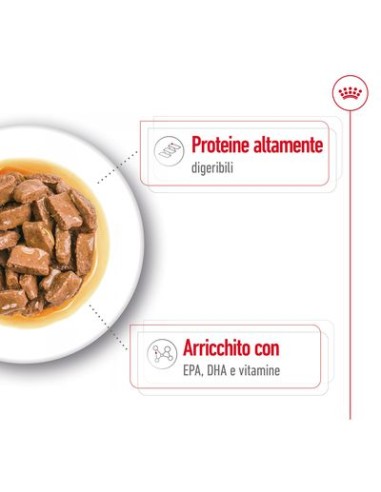 Wd Dog Maxi Agein gr 140. Cibo Umido Per Cani  .