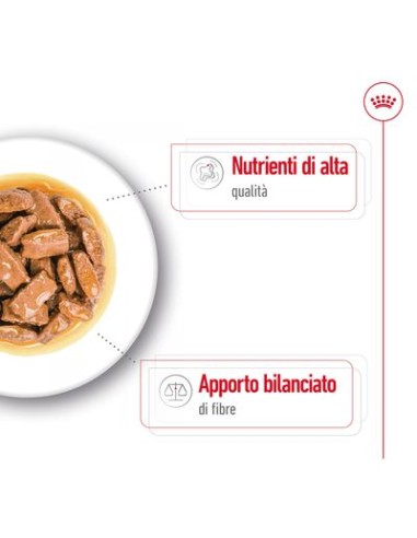 Wd Dog Maxi Adult gr 140. Cibo Umido Per Cani  .