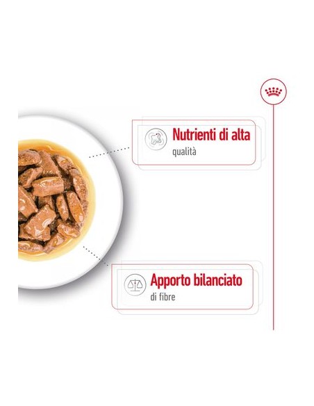 Wd Dog Maxi Adult gr 140. Cibo Umido Per Cani  .
