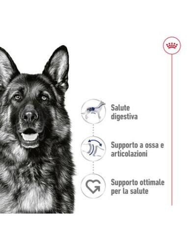 Wd Dog Maxi Adult gr 140. Cibo Umido Per Cani  .