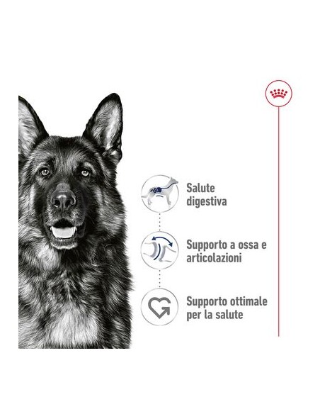 Wd Dog Maxi Adult gr 140. Cibo Umido Per Cani  .