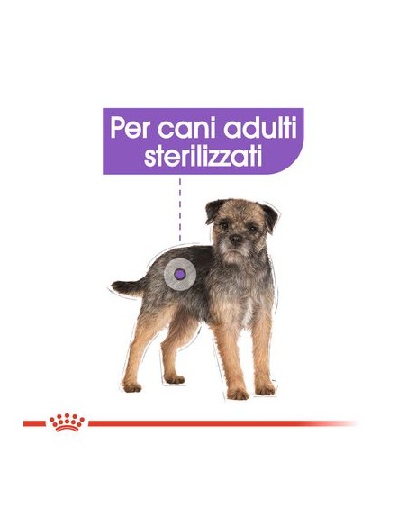 Royal Canin Dog Sterilised gr 85. Cibo Umido Per cani