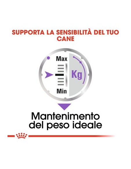 Royal Canin Dog Sterilised gr 85. Cibo Umido Per cani
