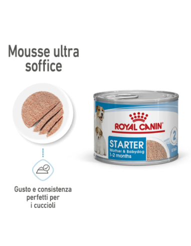 Starter Mousse Dog Gr 195. Puppy.