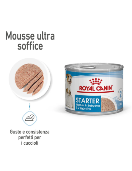 Starter Mousse Dog Gr 195. Puppy.