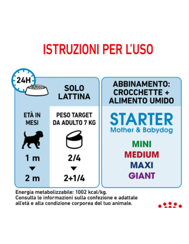 Starter Mousse Dog Gr 195. Puppy.