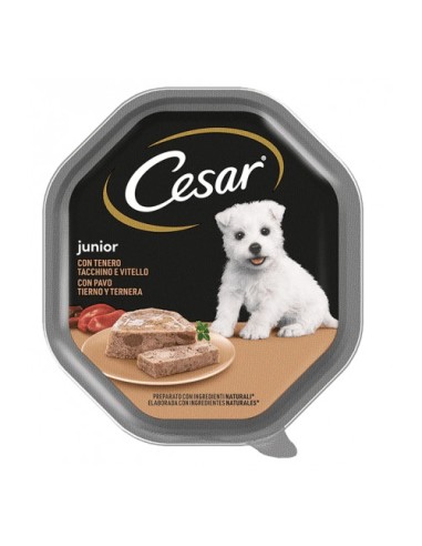 Cesar junior con Tenero Tacchino e Vitello gr.150. Puppy.