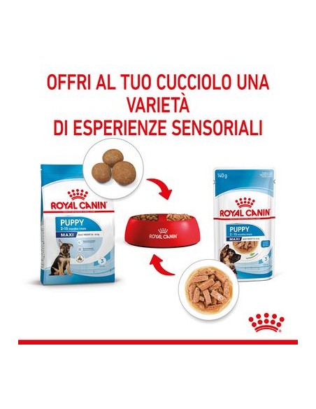 Royal Canin Wd Maxi Puppy Gr 140. Puppy