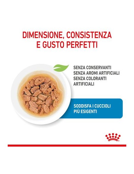 Royal Canin Dog Mini Puppy Gr85. Cibo Umido Per Cani