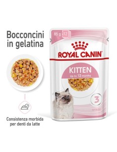 Kitten Instinctive Jelly Busta gr 85. Royal Canin . Cibo umido per cuccioli di Gatto . 2