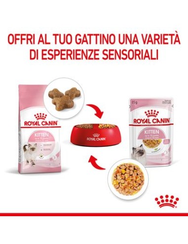 Kitten Instinctive Jelly Busta gr 85. Royal Canin . Cibo umido per cuccioli di Gatto .