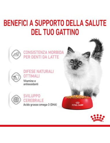 Kitten Instinctive Jelly Busta gr 85. Royal Canin . Cibo umido per cuccioli di Gatto .