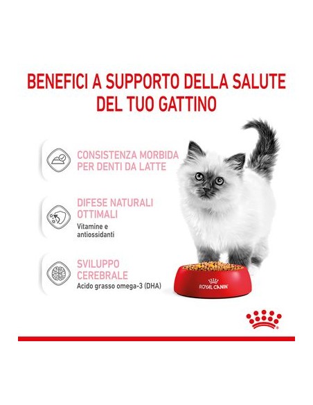 Kitten Instinctive Jelly Busta gr 85. Royal Canin . Cibo umido per cuccioli di Gatto .