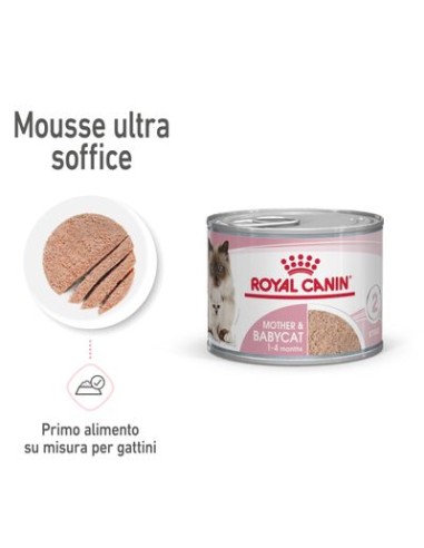 Royal Canin Mother and Baby  gr 195. Cibo Per Cuccioli di Gatto
