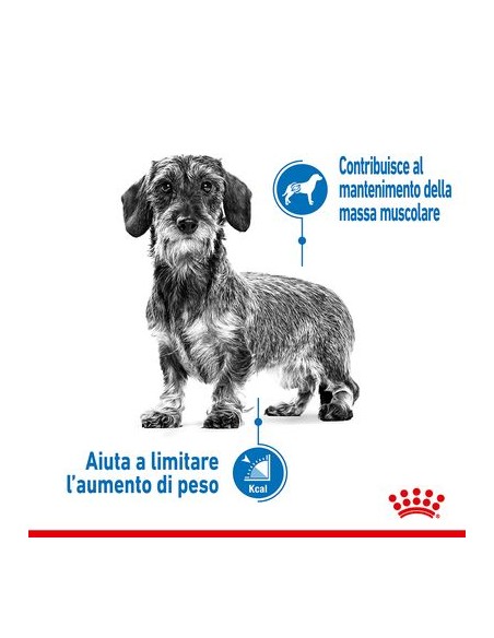 Wd Dog Light Mini Weight Care gr 85. Cibo Umido Per Cani  .