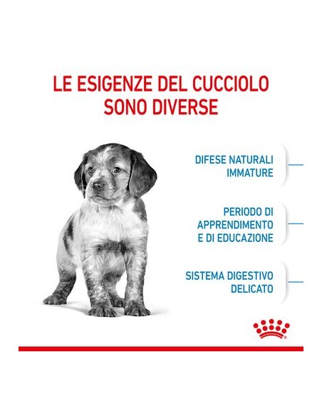 Wd Dog Medium Puppy gr 140. Puppy