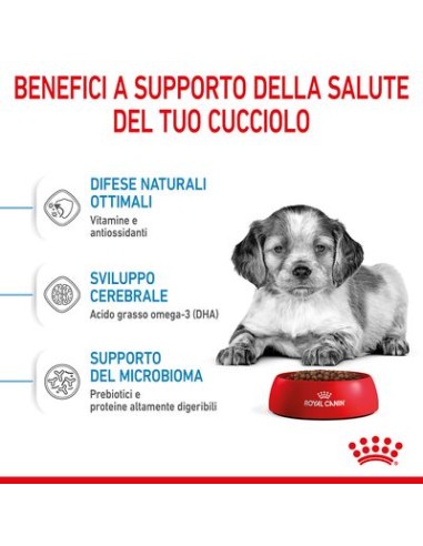 Wd Dog Medium Puppy gr 140. Puppy