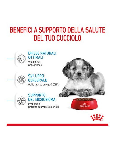 Wd Dog Medium Puppy gr 140. Puppy