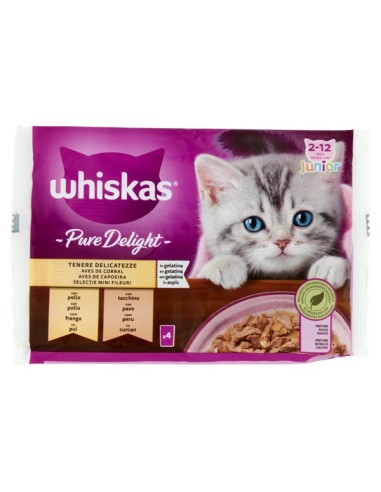 Whiskas Junior Pure Delight 4 x85 gr . tenere Delicatezze in gelatina . Cibo Per Cuccioli di gatto