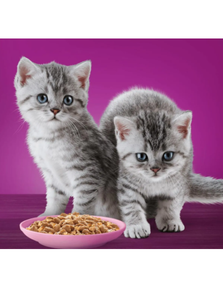 Whiskas Junior Pure Delight 4 x85 gr . tenere Delicatezze in gelatina . Cibo Per Cuccioli di gatto