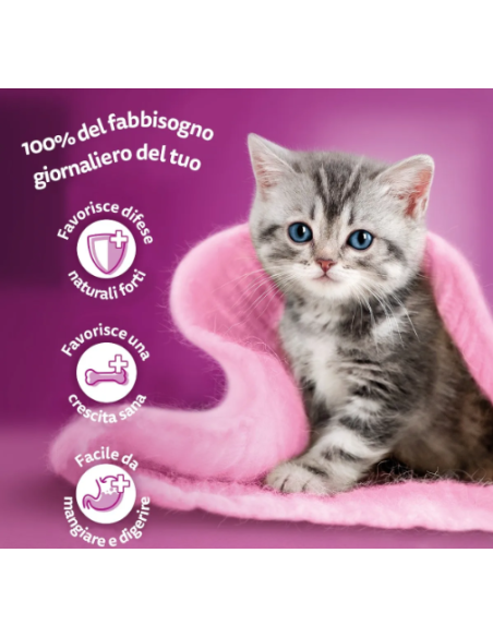 Whiskas Junior Pure Delight 4 x85 gr . tenere Delicatezze in gelatina . Cibo Per Cuccioli di gatto