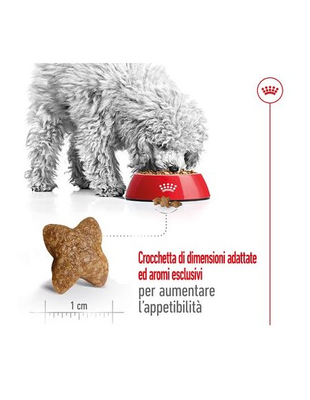 Mini Adult Kg 4 Royal Canin Cibo Secco Per Cani