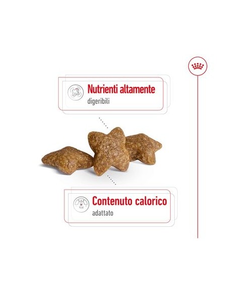 Mini Adult Kg 4 Royal Canin Cibo Secco Per Cani